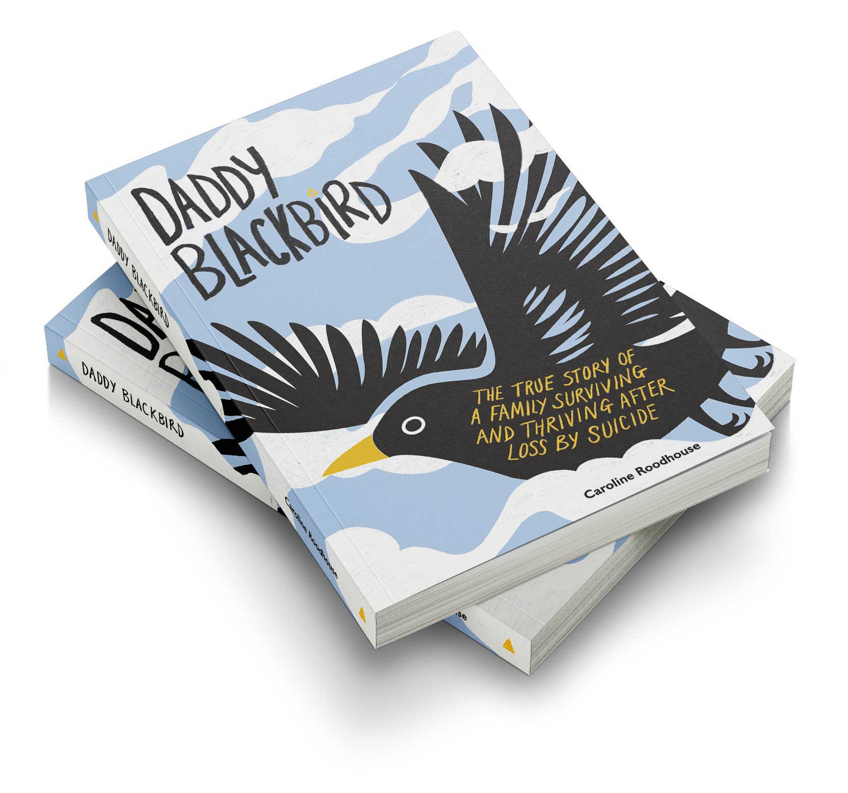 Daddy Blackbird Book